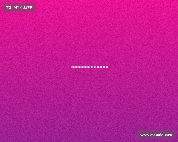 武林风赛事演出全国高手齐聚巅峰对决热血激战震撼上演